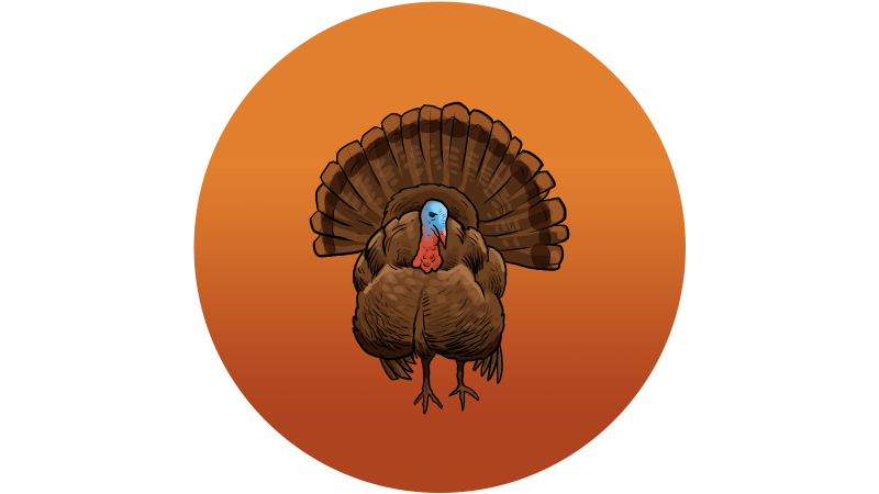 Illustration for article titled How to Be a Meat-Carving Holiday Hero